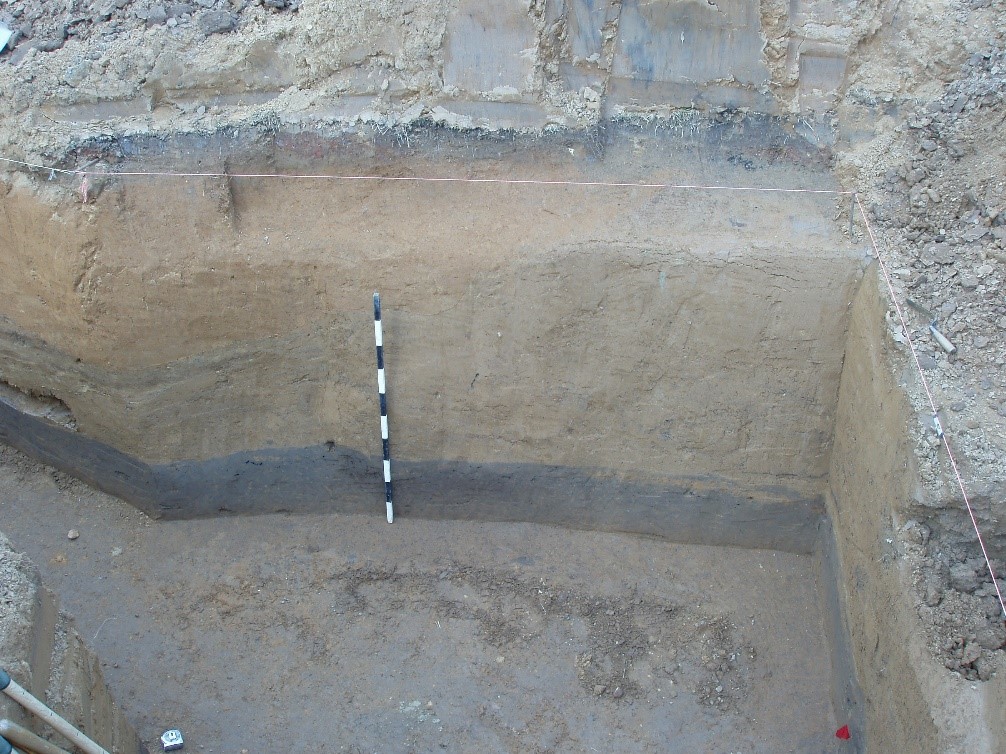 Figure 11. Photograph of soil profile within Mound B. Note that the red flag marking Feature 2498 is located in the lower right corner of the frame. A slope of the mound is visible, rising from the left of the frame toward the right, running under the upper-most black stripe on the scale marker (which is 1 meter in length). Slope wash from the now-absent portion of the mound upslope is present atop this initial mound fill stage. The dark spot visible about 20 centimeters left of the scale marker was a chunk of charcoal that returned a radiocarbon date range of 347-02 B.C, with a mean date of 128 B.C.