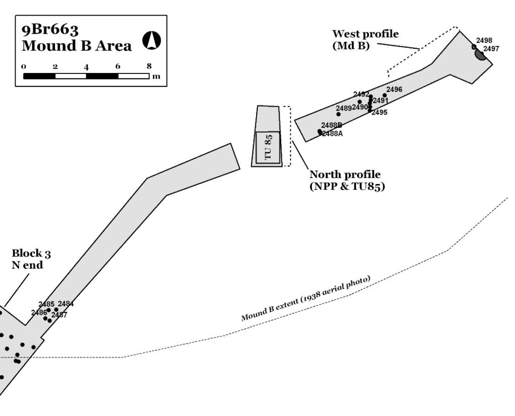 Figure 8. Map showing excavations in Mound B (Keith 2010:139 Figure 142).
