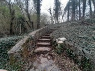 Steps to Rock Garden