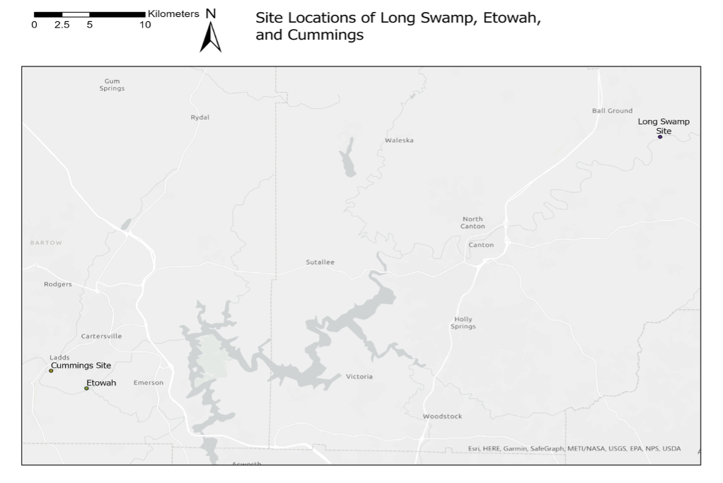 Figure 1. Location of the Cummings site in relation to the Long Swamp and Etowah sites (Map courtesy of Bryan Moss).