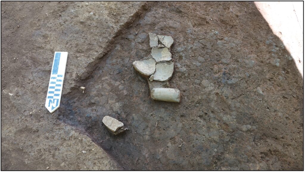 Figure 3. Pottery vessel (V1) on burned floor of 13th century house at the Cummings site. Image courtesy of Terry G. Powis